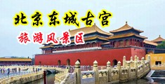 中国女人全裸性爱潮吹中国北京-东城古宫旅游风景区